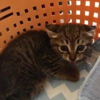 27位のイメージ