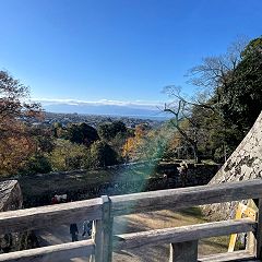 41位のイメージ