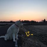 11位のイメージ