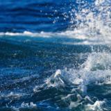 17位のイメージ