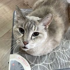 674位のイメージ