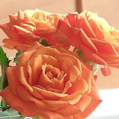 16位のイメージ