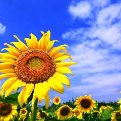 25位のイメージ