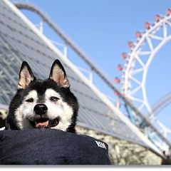 129位のイメージ