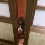 295位のイメージ