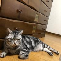 235位のイメージ