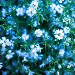 10位のイメージ