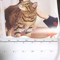 113位のイメージ