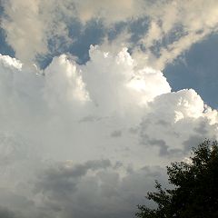 139位のイメージ