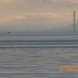 49位のイメージ