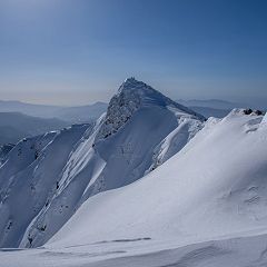 1683位のイメージ