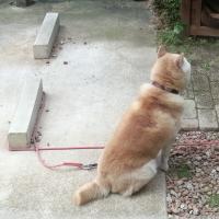 29位のイメージ