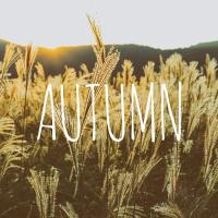 183位のイメージ