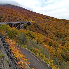 11位のイメージ