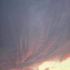 252位のイメージ