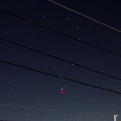 50位のイメージ