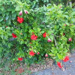 28位のイメージ