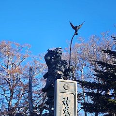 62位のイメージ