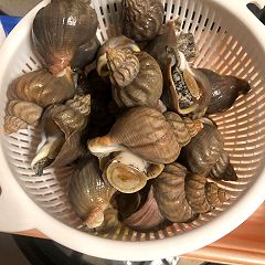 79位のイメージ