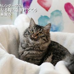 36位のイメージ