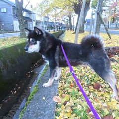 80位のイメージ