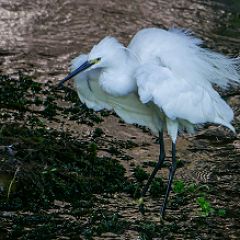 21位のイメージ