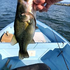 961位のイメージ