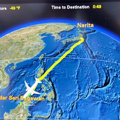 1097位のイメージ