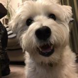 148位のイメージ