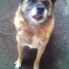 19位のイメージ