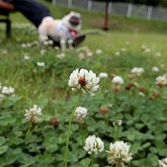 9689位のイメージ