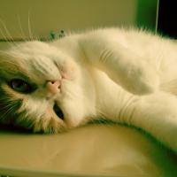 493位のイメージ