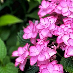 45位のイメージ