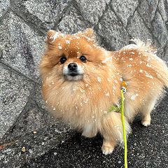 3846位のイメージ