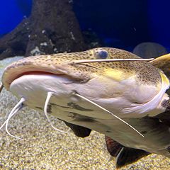 67位のイメージ