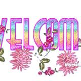 73位のイメージ