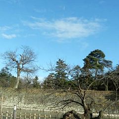 18位のイメージ