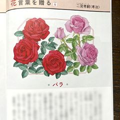 301位のイメージ