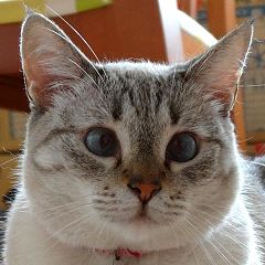 28位のイメージ