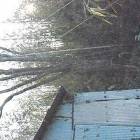 52位のイメージ