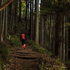 145位のイメージ