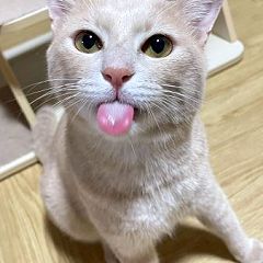 24位のイメージ