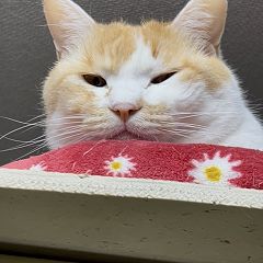 18位のイメージ