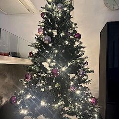 81位のイメージ