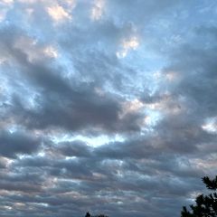 54位のイメージ