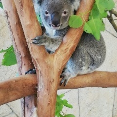 18位のイメージ