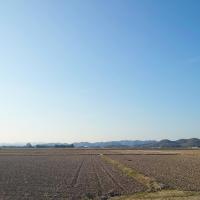 21位のイメージ