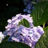 2814位のイメージ