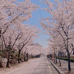 118位のイメージ