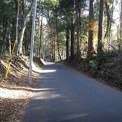 63位のイメージ